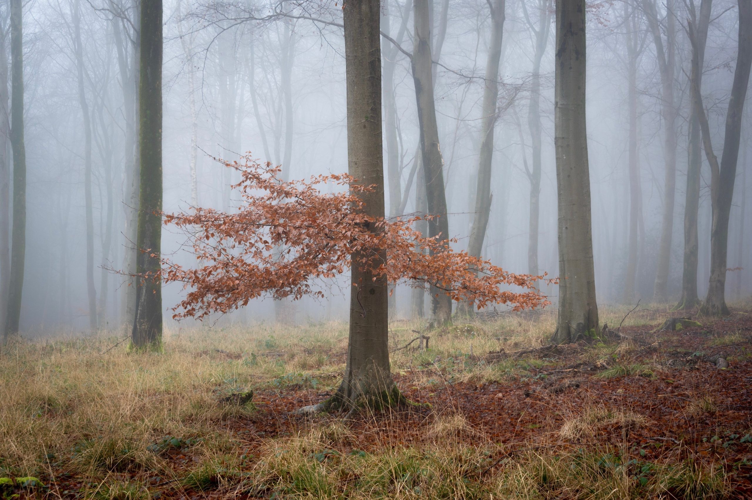 Image from Jamie Fielding