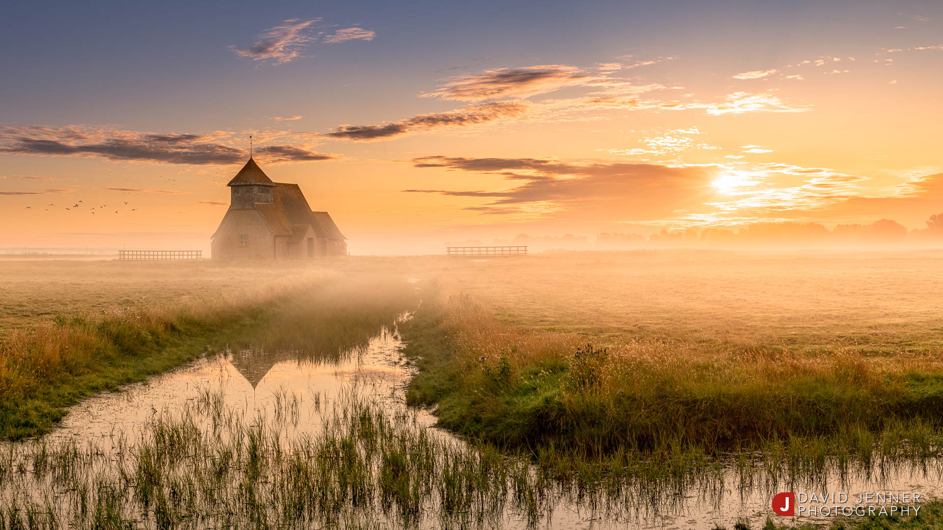 Image from David Jenner